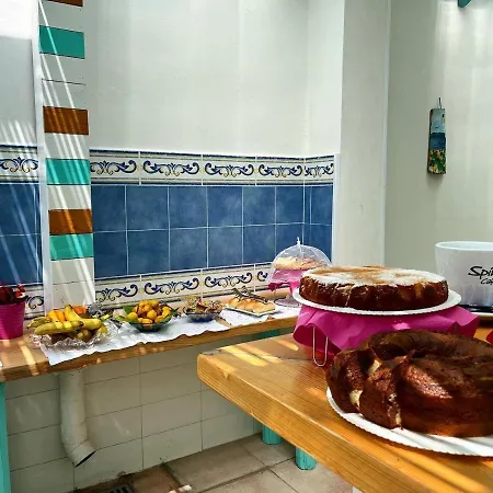 D'aragona 奥特朗托