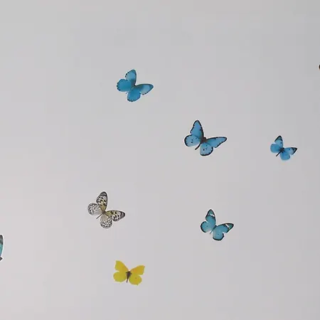 D'aragona 4* 奥特朗托